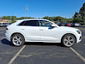 2023 Audi Q8 55 Premium